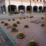 ASU garden